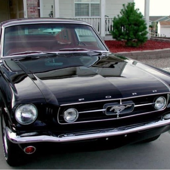 Meet your Posher, TRose Posh Ambassador - Picture 3 of 10